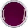 ER MAROON PINK